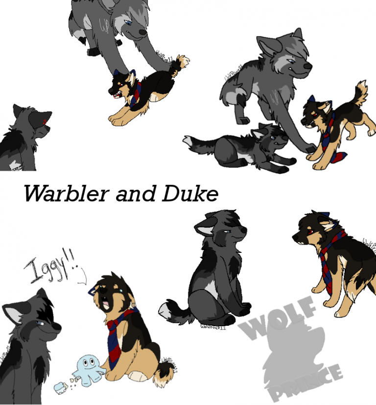 Warbler and Duke