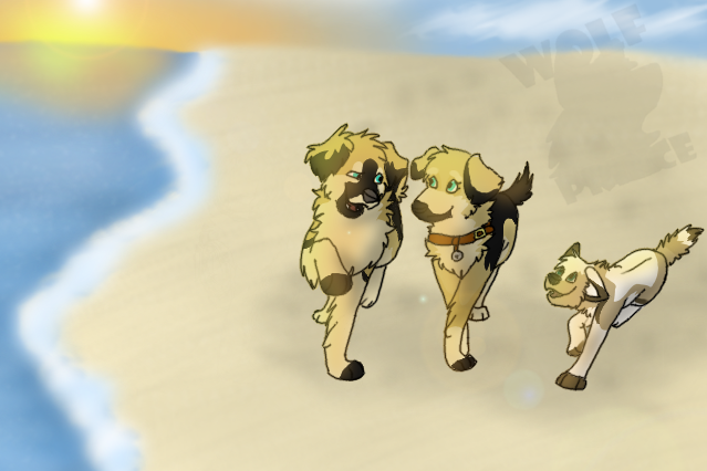 A Walk on the Beach
