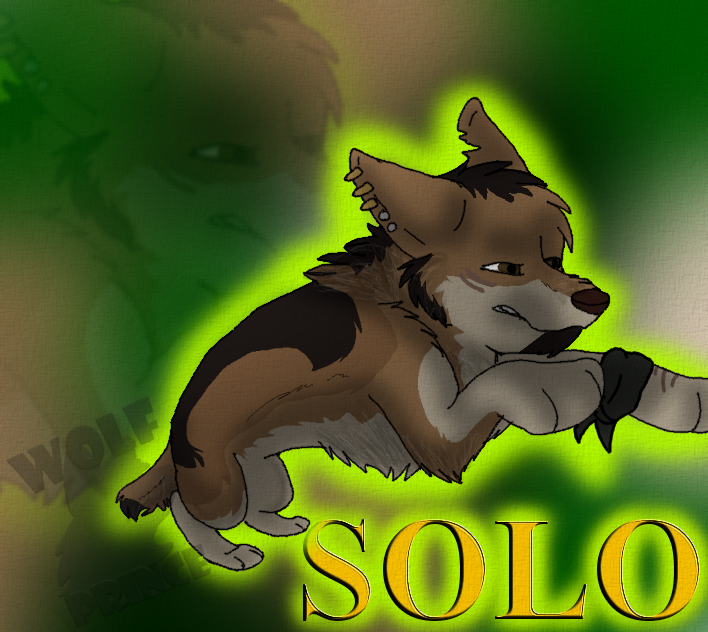 Prize for Solo