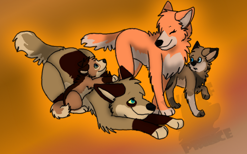 Prize for Anileu