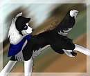 Trade with SpottedShadow 