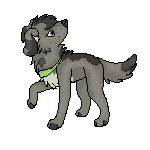 Woolf