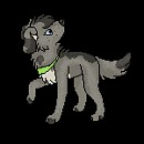 Woolf