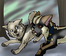 Trade with Max