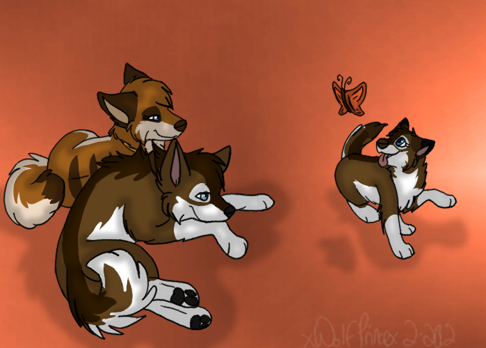 Family pic c: