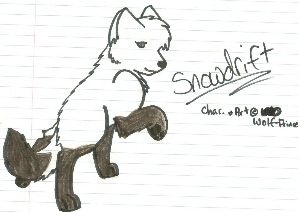 snowdrift