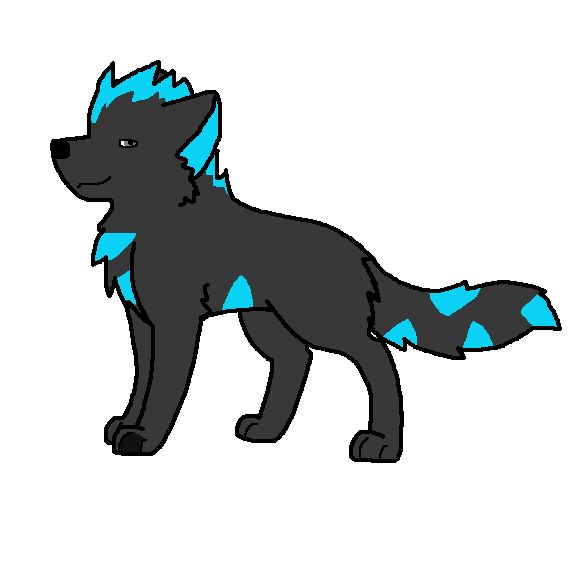 blueshark