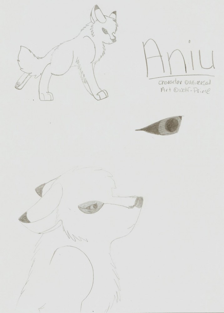 aniu the white wolf