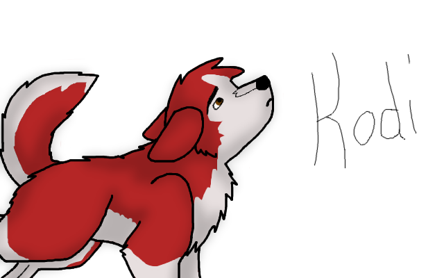 just a pic of kodi