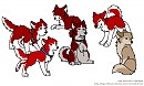 The Pups