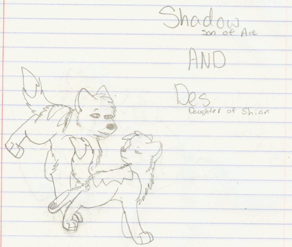 Des and Shadow again