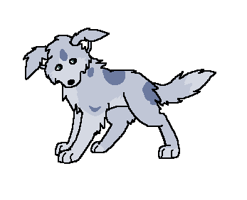 colored Comet