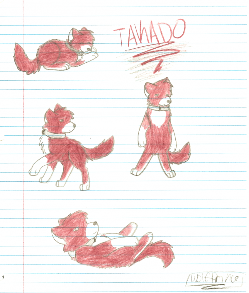 some takado drawings