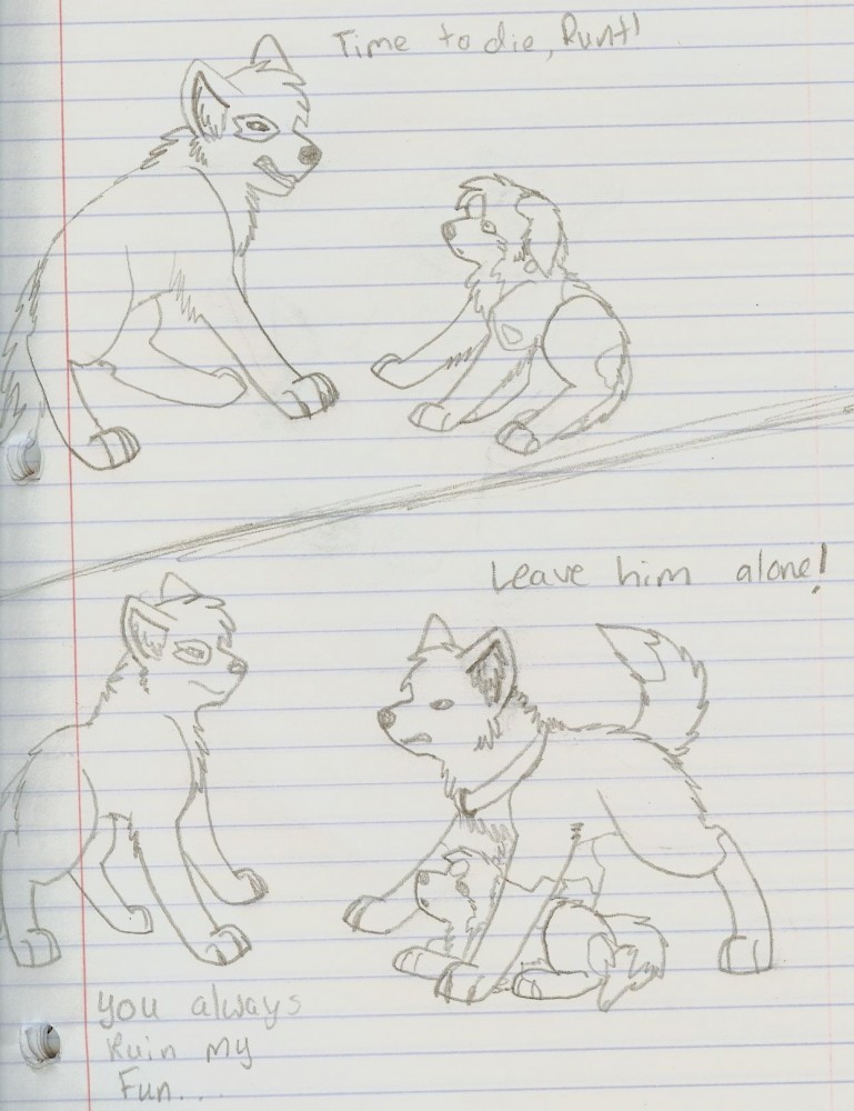 more Comet 