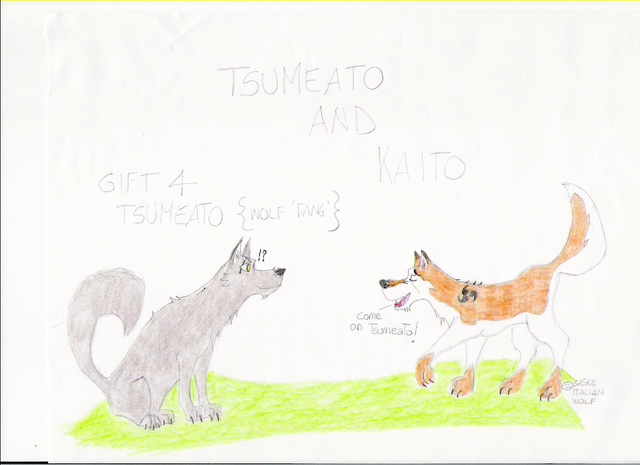 Tsumeato and Kalto!!