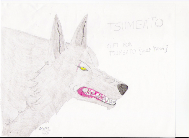 Tsumeato!