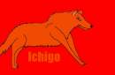 Ichigo as a wolf