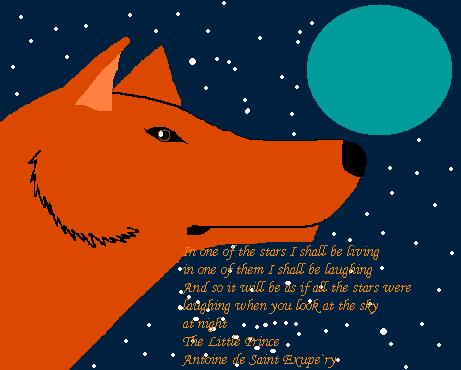 Look At The Stars