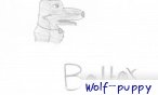 Wolf_puppy