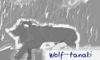 wolf_tanaki
