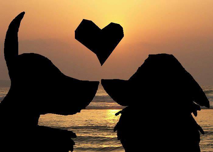 Love sunset