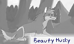 Beauty Husky
