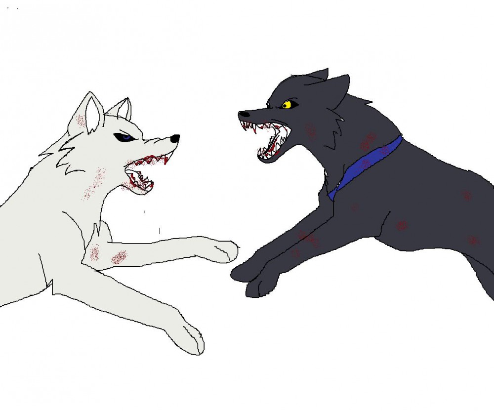 Saiko and Xocono