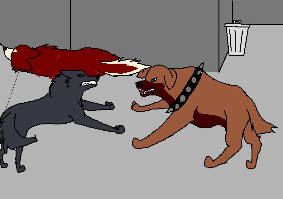 Saiko and Torno