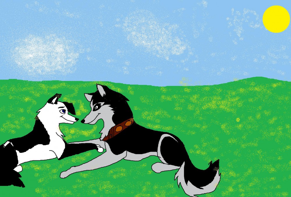 Steele and Belle