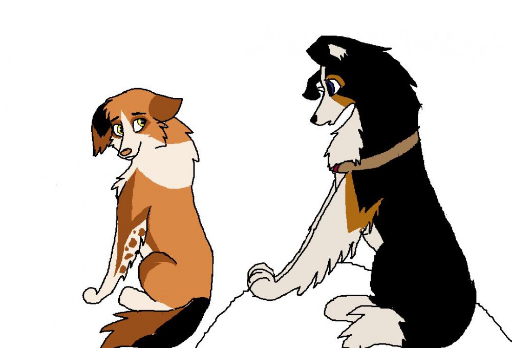 Jimbo and Merlot