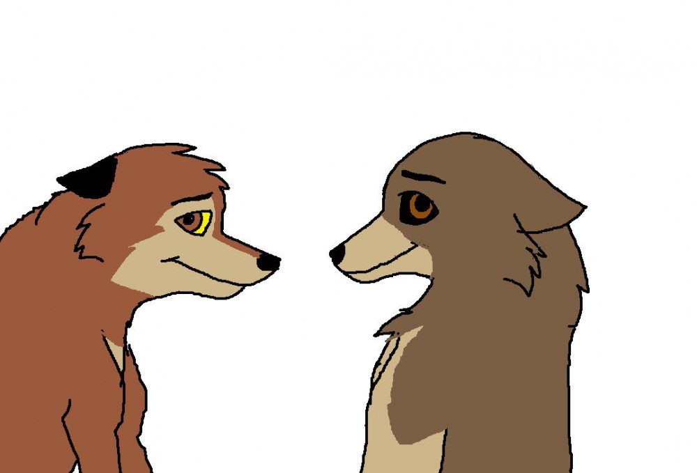 Kuma and Koona