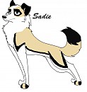 Sadie