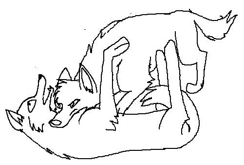 Wolf and Dog