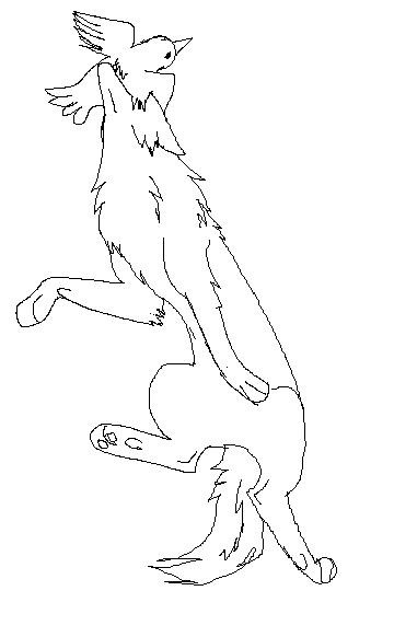 wolf hunting a bird