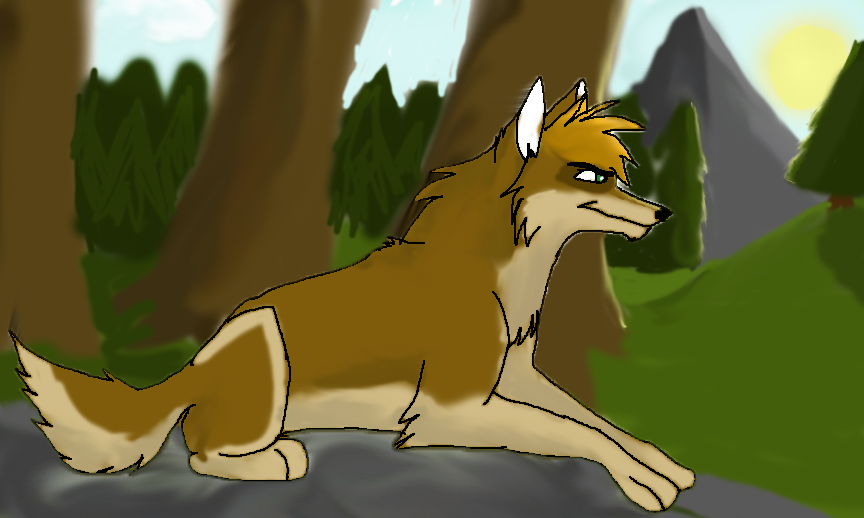 wolf in the wild