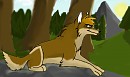 wolf in the wild