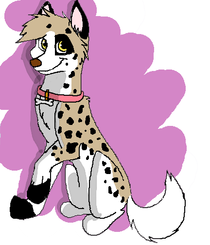 Patches