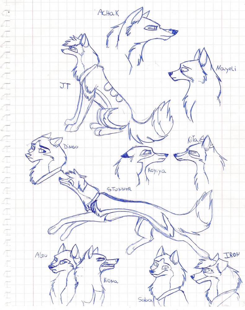 Gift for catwohas14tails