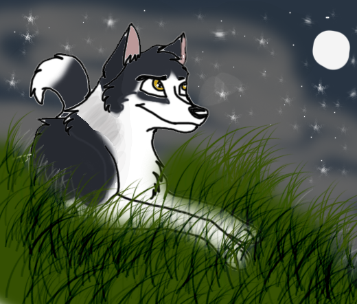 practice