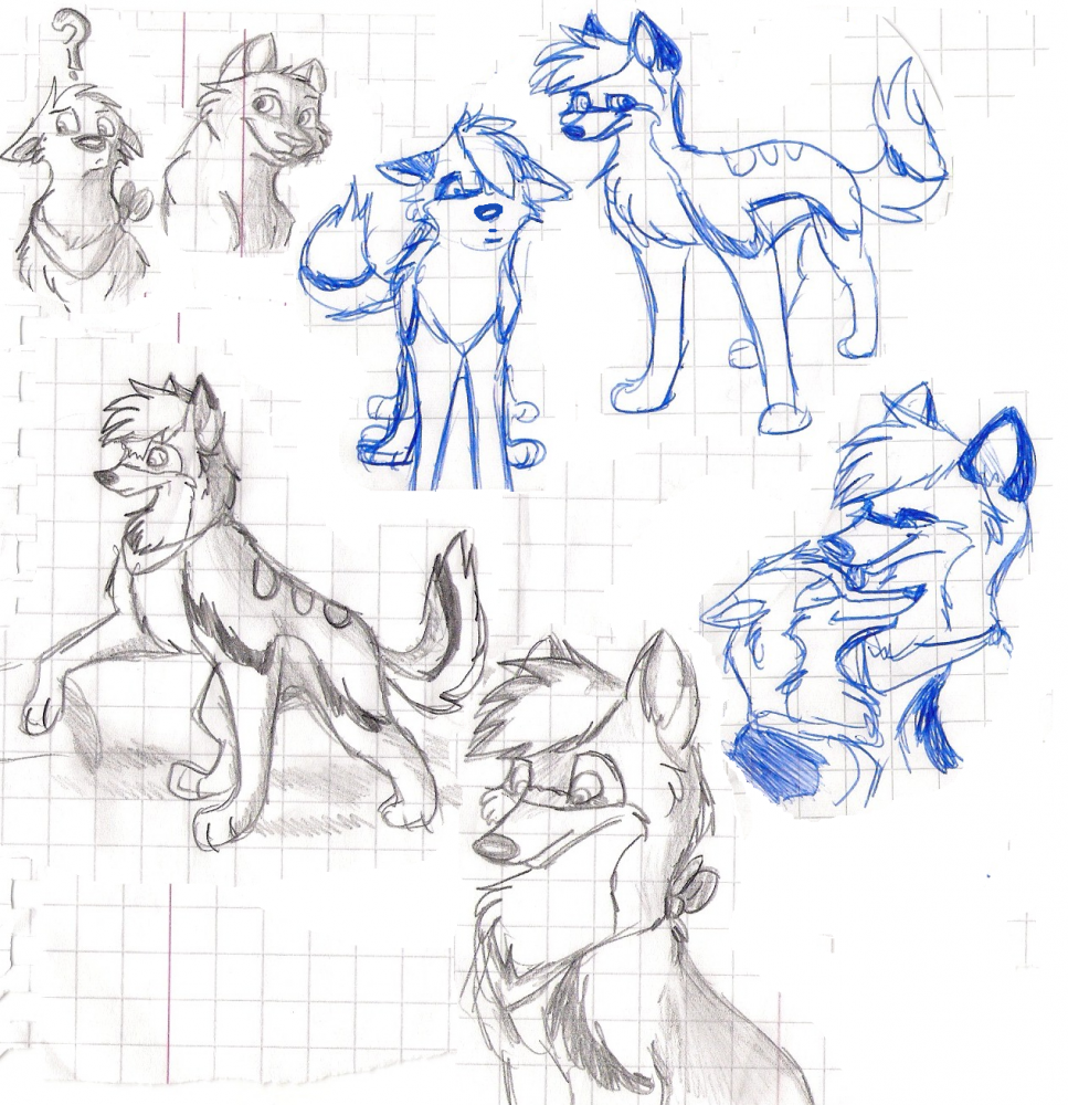 sketches