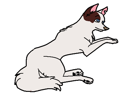 Peg