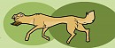 stray dog