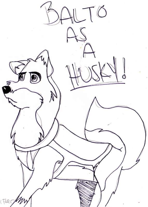 Balto as a HUSKY