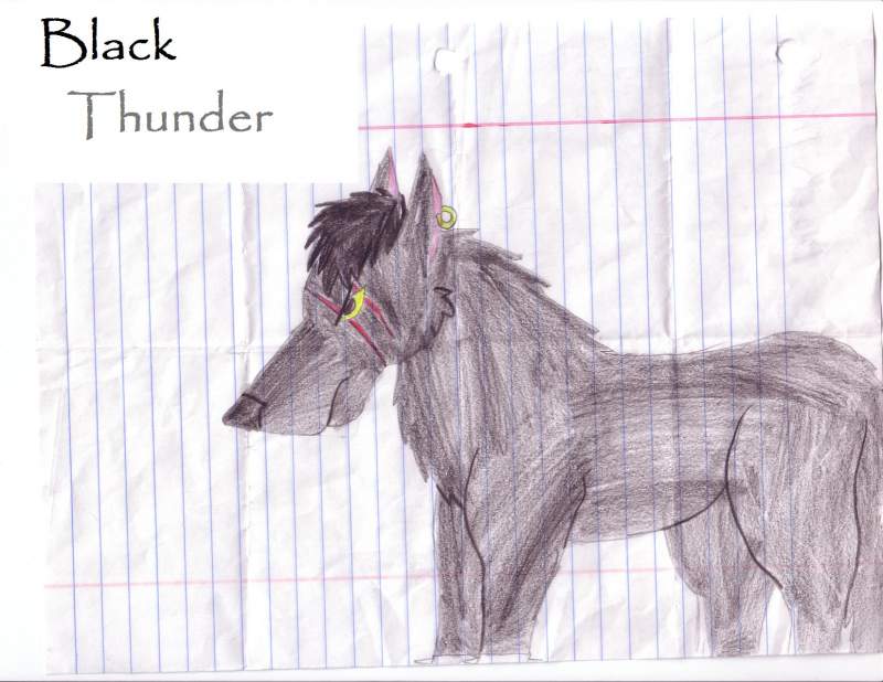 Black Thunder