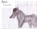 Black Thunder