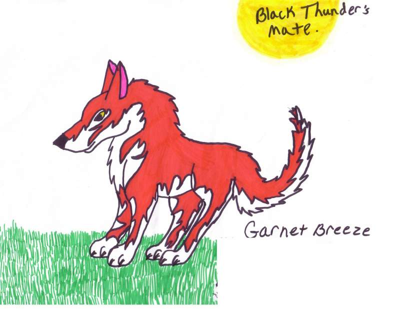 Garnet Breeze