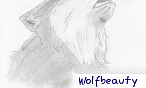 wolfbeauty