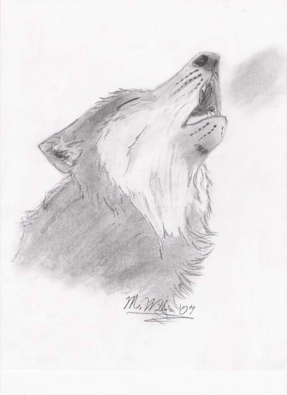 Wolf Howling