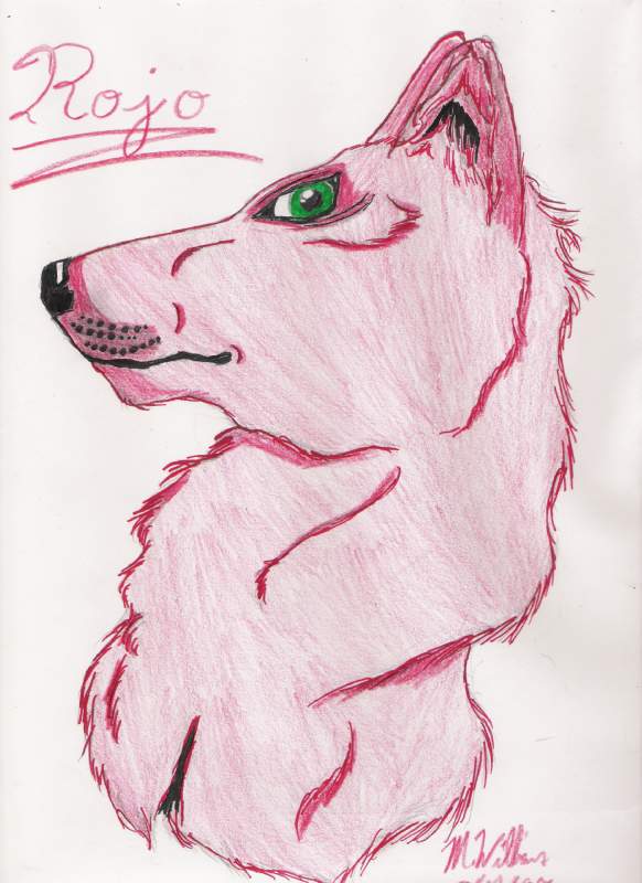 Rojo, the Lobo
