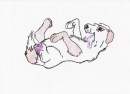 A Playful Puppy
